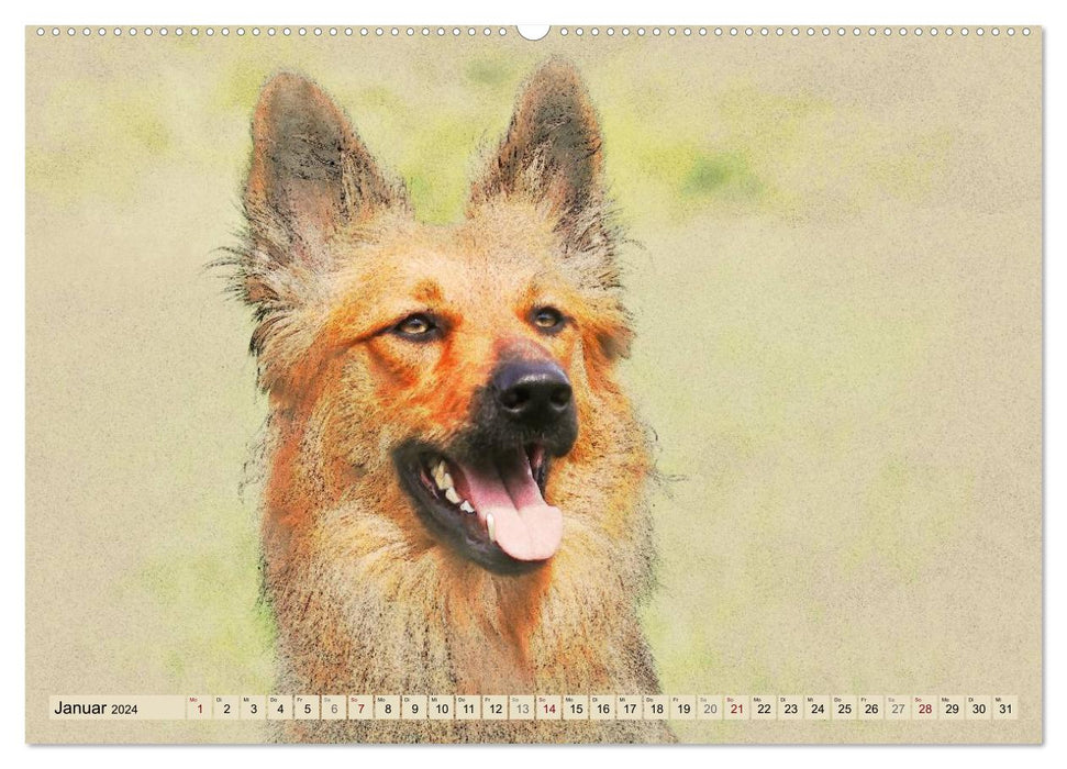 Old German Shepherd Dogs 2024 (CALVENDO Premium Wall Calendar 2024) 