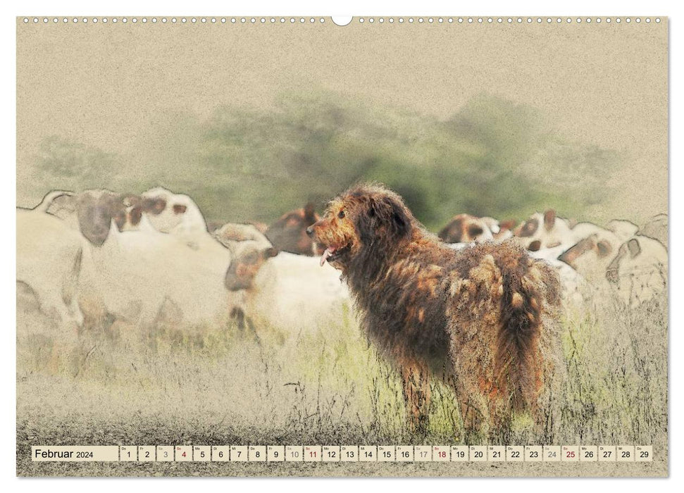 Old German Shepherd Dogs 2024 (CALVENDO Premium Wall Calendar 2024) 
