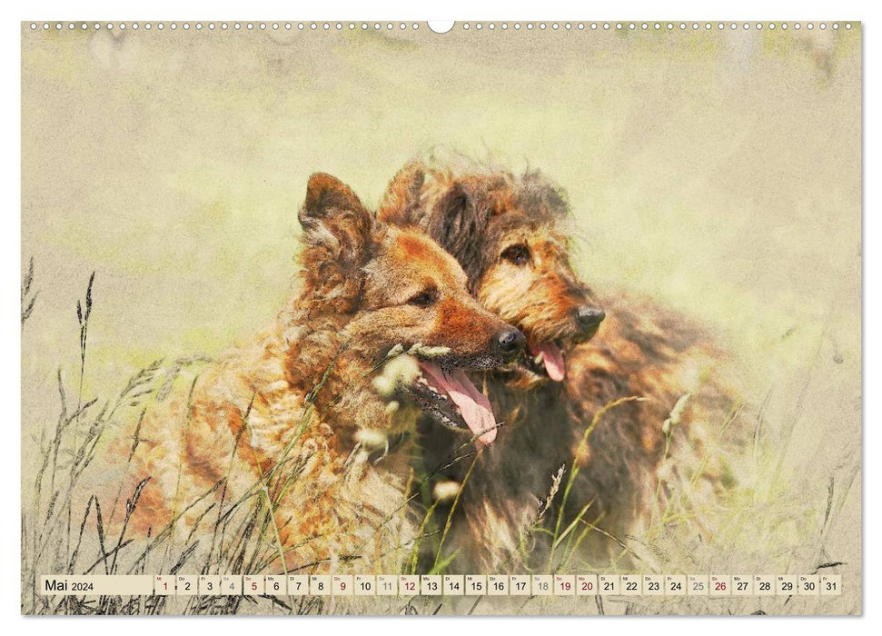 Old German Shepherd Dogs 2024 (CALVENDO Premium Wall Calendar 2024) 