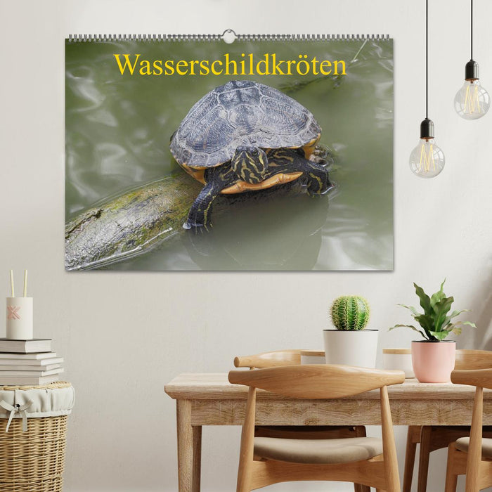 Wasserschildkröten (CALVENDO Wandkalender 2024)