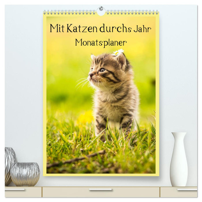 Mit Katzen durchs Jahr / Planer (CALVENDO Premium Wandkalender 2024)