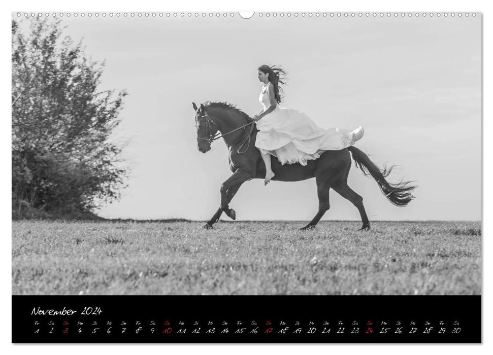 Horse &amp; Rider - Impressions (CALVENDO Premium Wall Calendar 2024) 