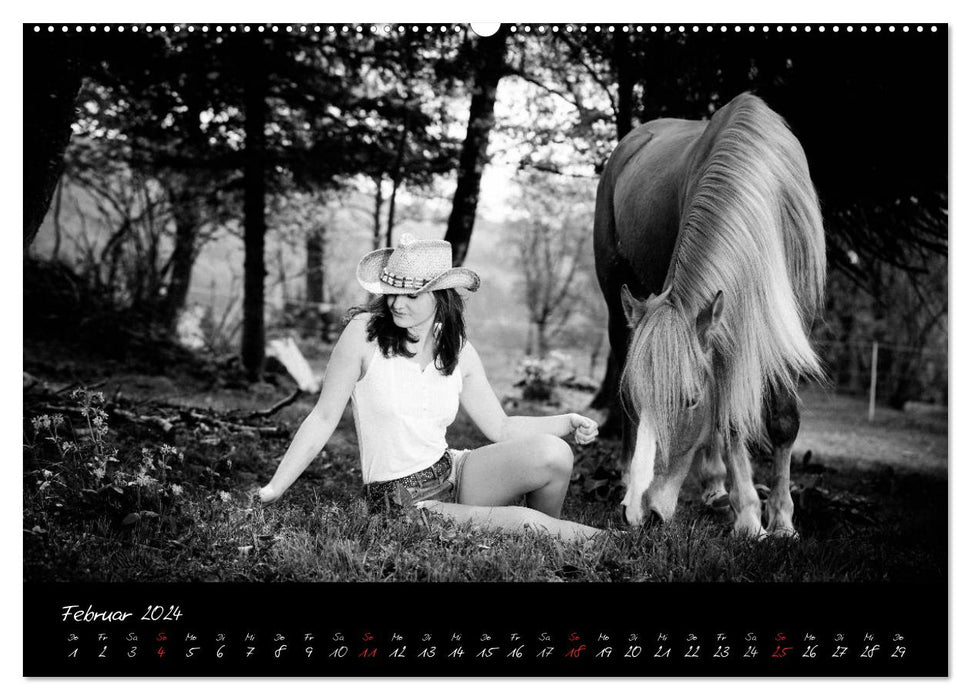 Horse &amp; Rider - Impressions (CALVENDO Premium Wall Calendar 2024) 