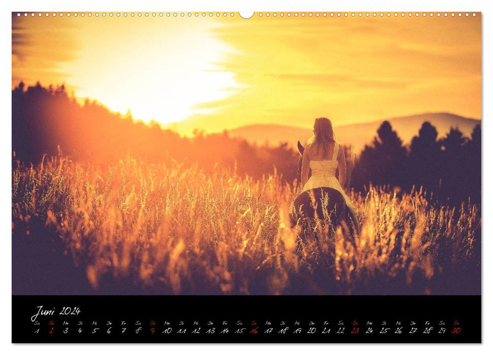 Horse &amp; Rider - Impressions (CALVENDO Premium Wall Calendar 2024) 