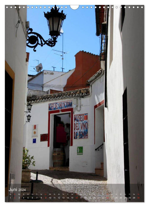 Ronda, la belle d'Andalousie (Calendrier mural CALVENDO 2024) 