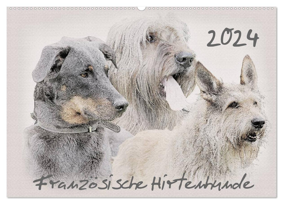 French Shepherd Dogs 2024 (CALVENDO Wall Calendar 2024) 