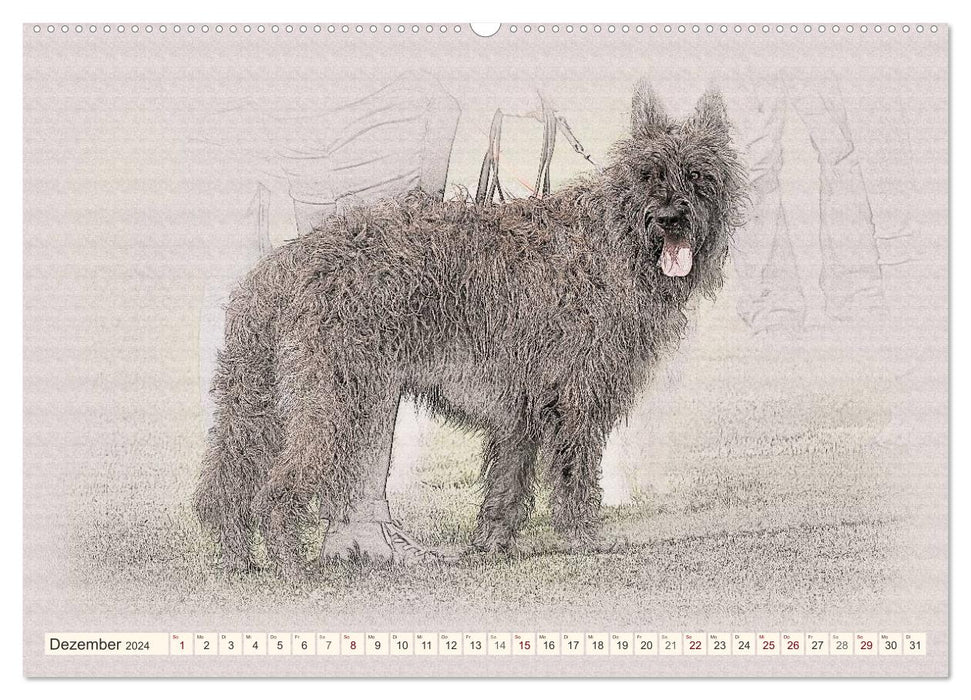 French Shepherd Dogs 2024 (CALVENDO Wall Calendar 2024) 