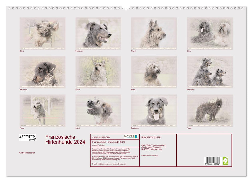 French Shepherd Dogs 2024 (CALVENDO Wall Calendar 2024) 