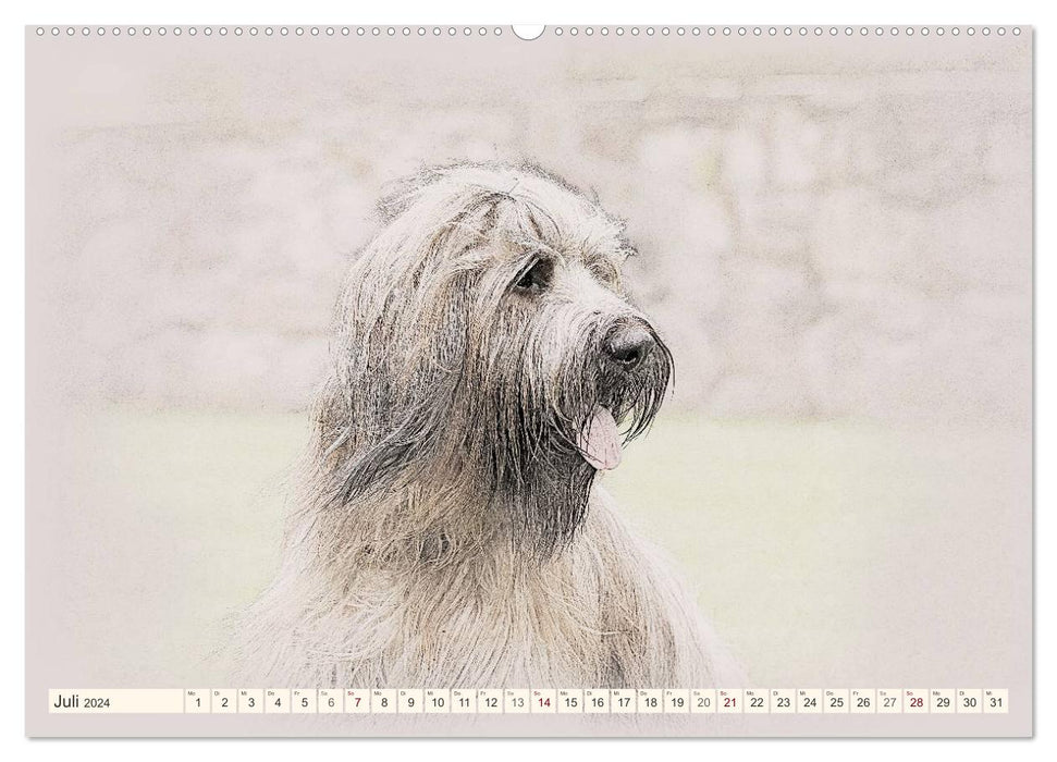 French Shepherd Dogs 2024 (CALVENDO Wall Calendar 2024) 