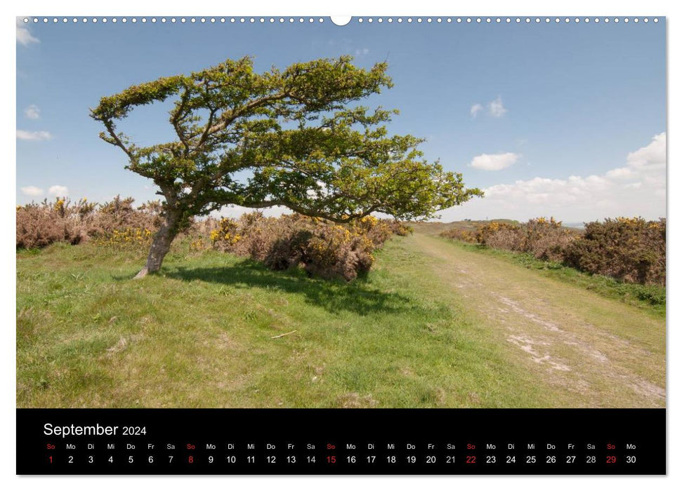 Sur la route sur l'île de Wight (calendrier mural CALVENDO 2024) 