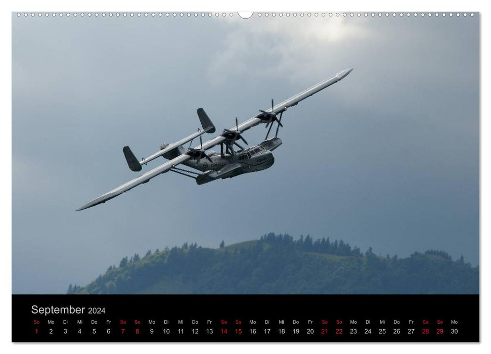DO-24 ATT (CALVENDO wall calendar 2024) 