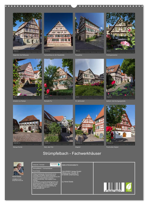 Strrumpfelbach - half-timbered houses (CALVENDO Premium Wall Calendar 2024) 