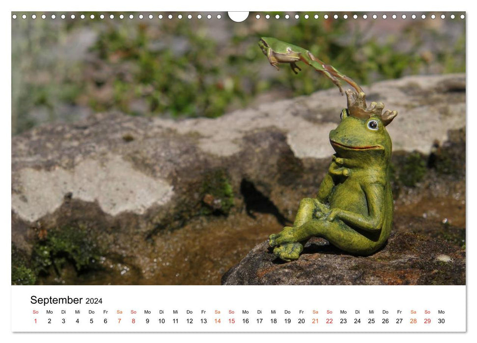 Besucher im Garten - Laubfrösche (CALVENDO Wandkalender 2024)