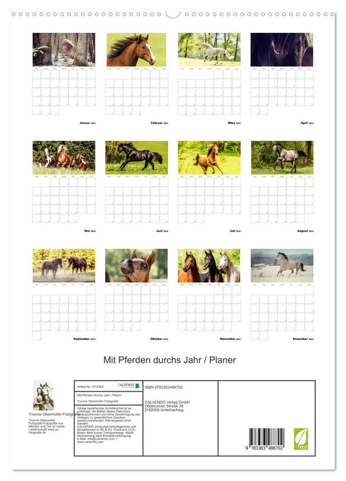 With horses throughout the year / Planner (CALVENDO Premium Wall Calendar 2024) 