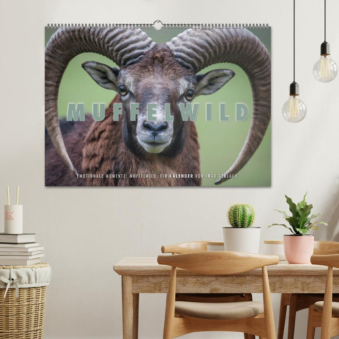 Moments d'émotion : mouflon. (Calendrier mural CALVENDO 2024) 