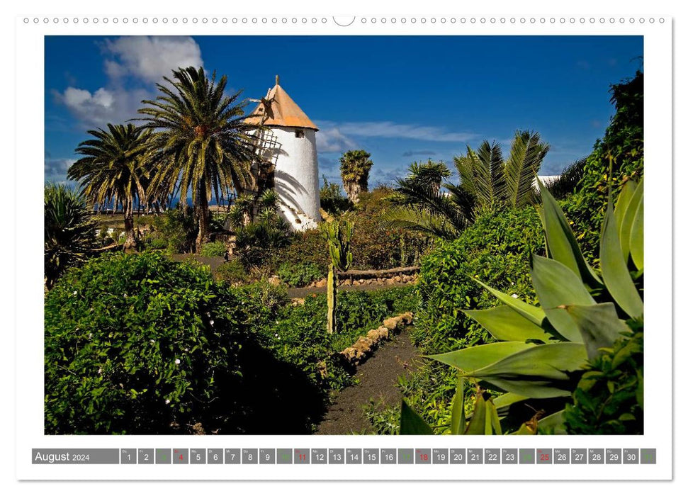 Born from the sea - Lanzarote (CALVENDO Premium Wall Calendar 2024) 