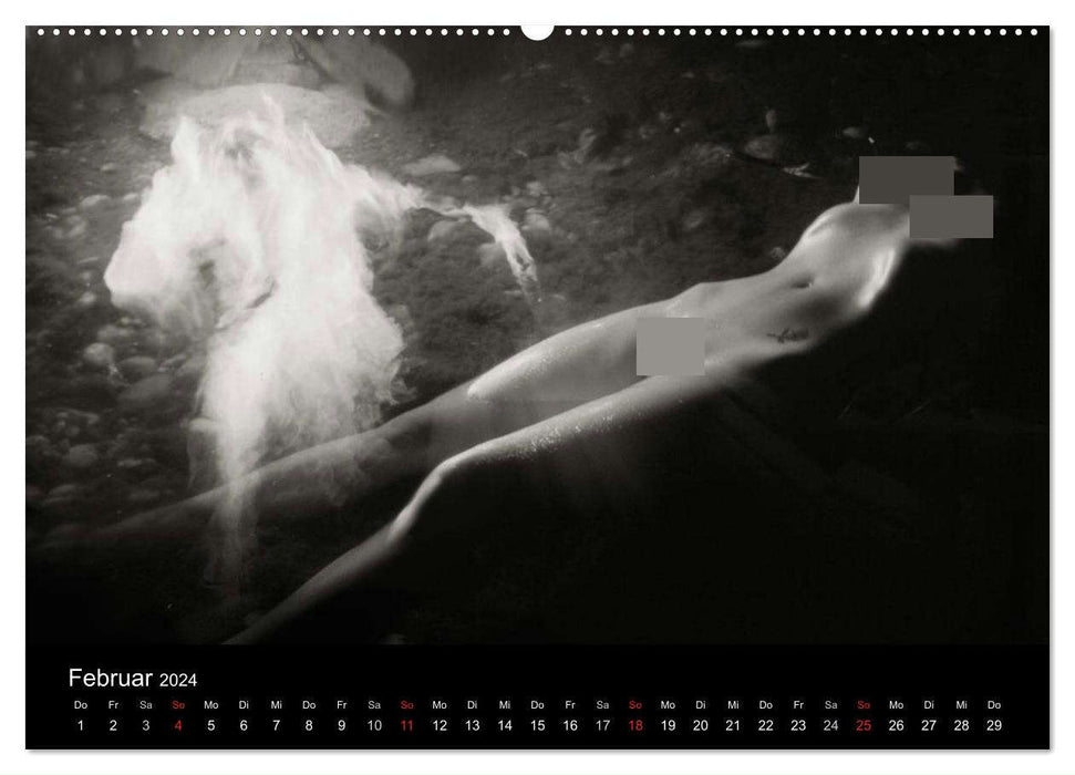 Magical witch creatures (CALVENDO wall calendar 2024) 