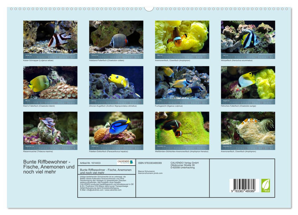 Bunte Riffbewohner - Fische, Anemonen und noch viel mehr (CALVENDO Premium Wandkalender 2024)