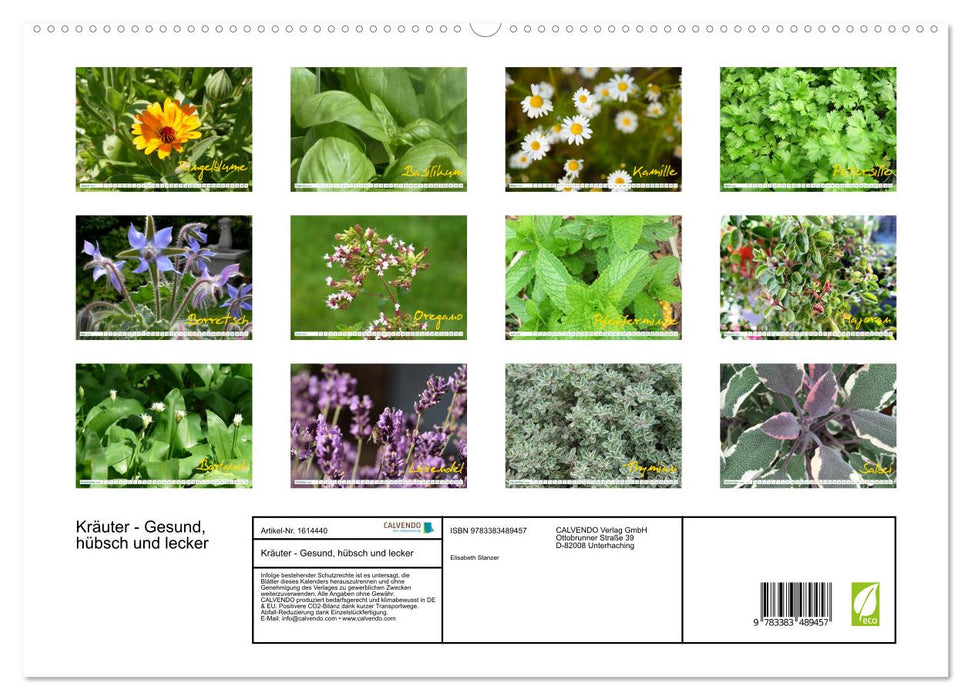 Herbes - Saines, jolies et délicieuses (Calendrier mural CALVENDO Premium 2024) 