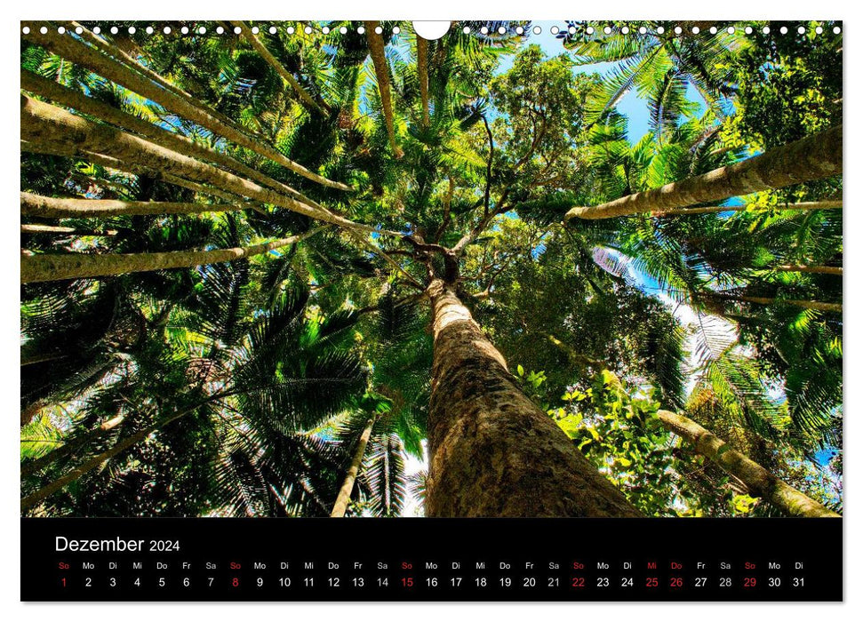 Wildes Australien - Naturparadies 5. Kontinent (CALVENDO Wandkalender 2024)