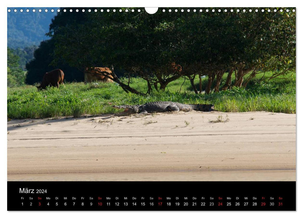 Wildes Australien - Naturparadies 5. Kontinent (CALVENDO Wandkalender 2024)