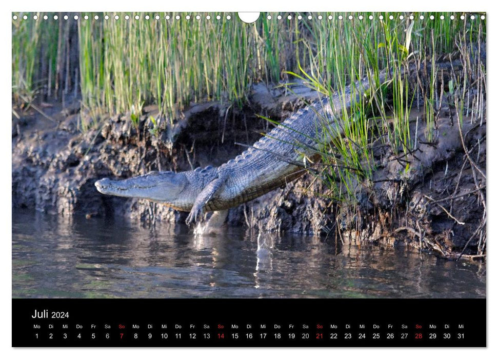 Wildes Australien - Naturparadies 5. Kontinent (CALVENDO Wandkalender 2024)