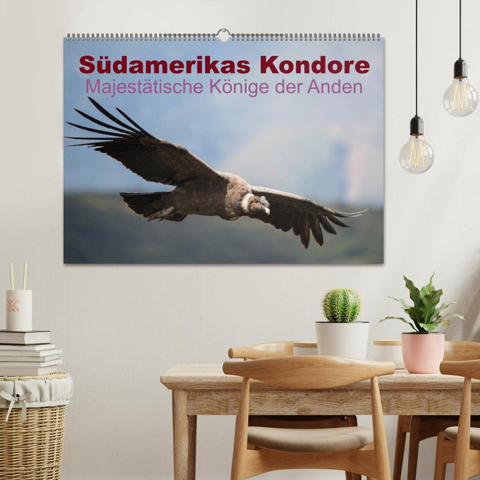 Südamerikas Kondore - Majestätische Könige der Anden (CALVENDO Wandkalender 2024)