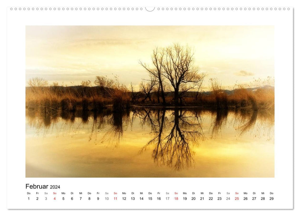 Vorarlberg Bodensee-Dream2024 (CALVENDO wall calendar 2024) 