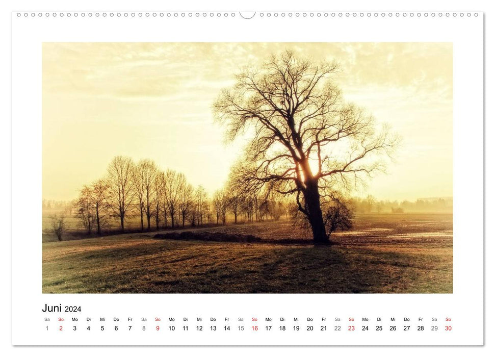 Vorarlberg Bodensee-Dream2024 (CALVENDO wall calendar 2024) 