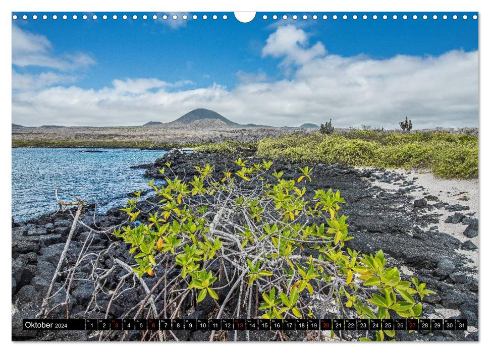 Landschaften – Weltweit (CALVENDO Wandkalender 2024)