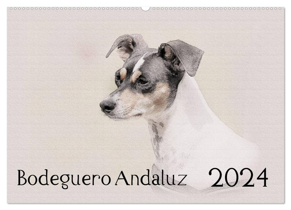 Bodeguero Andaluz 2024 (CALVENDO Wandkalender 2024)