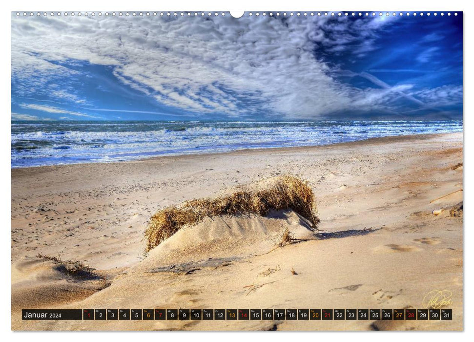 Dunes de la mer du Nord (Calvendo Premium Calendrier mural 2024) 
