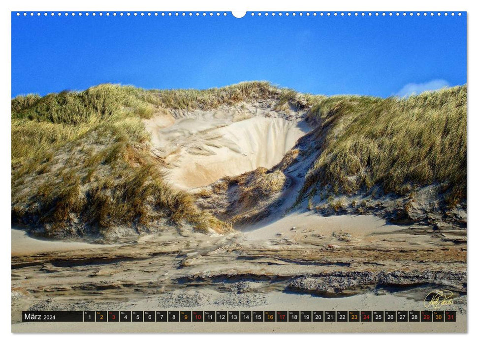 Dunes de la mer du Nord (Calvendo Premium Calendrier mural 2024) 
