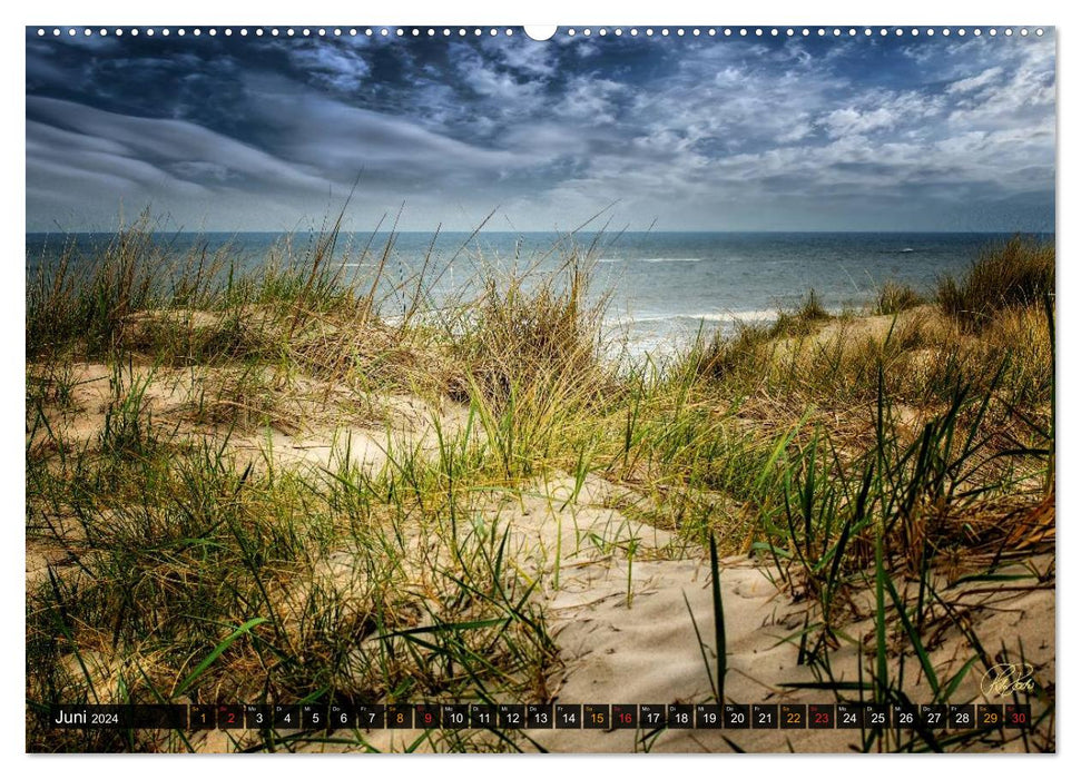 North Sea Dunes (CALVENDO Premium Wall Calendar 2024) 