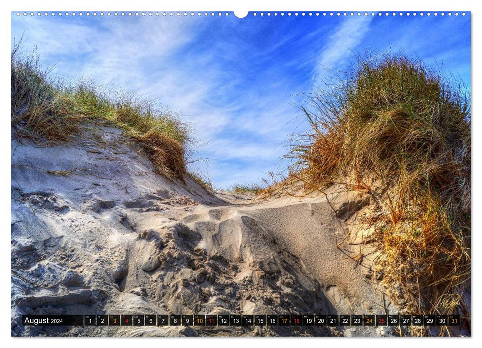 North Sea Dunes (CALVENDO Premium Wall Calendar 2024) 