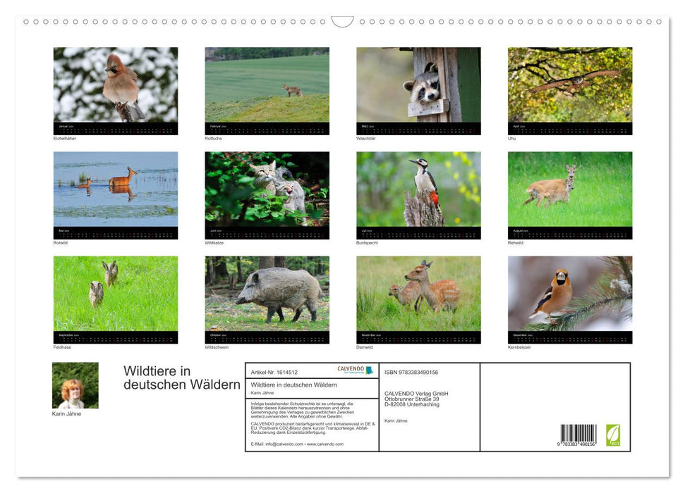 Wildtiere in deutschen Wäldern (CALVENDO Wandkalender 2024)