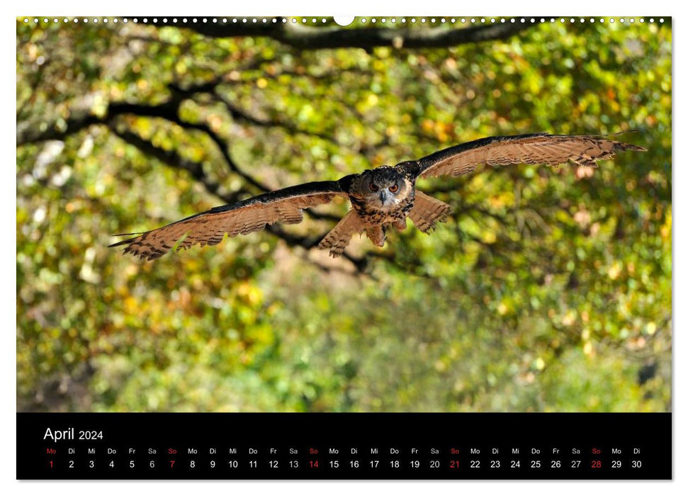 Wildtiere in deutschen Wäldern (CALVENDO Wandkalender 2024)