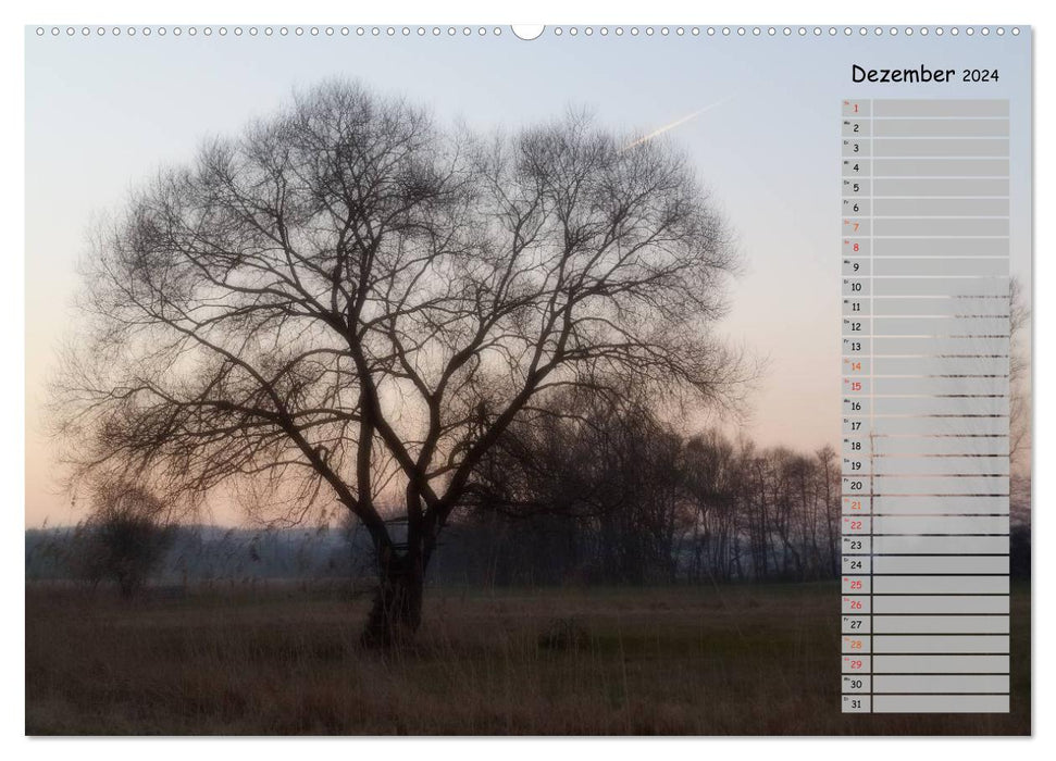 Odenwald - Romantischer Spaziergang (CALVENDO Wandkalender 2024)