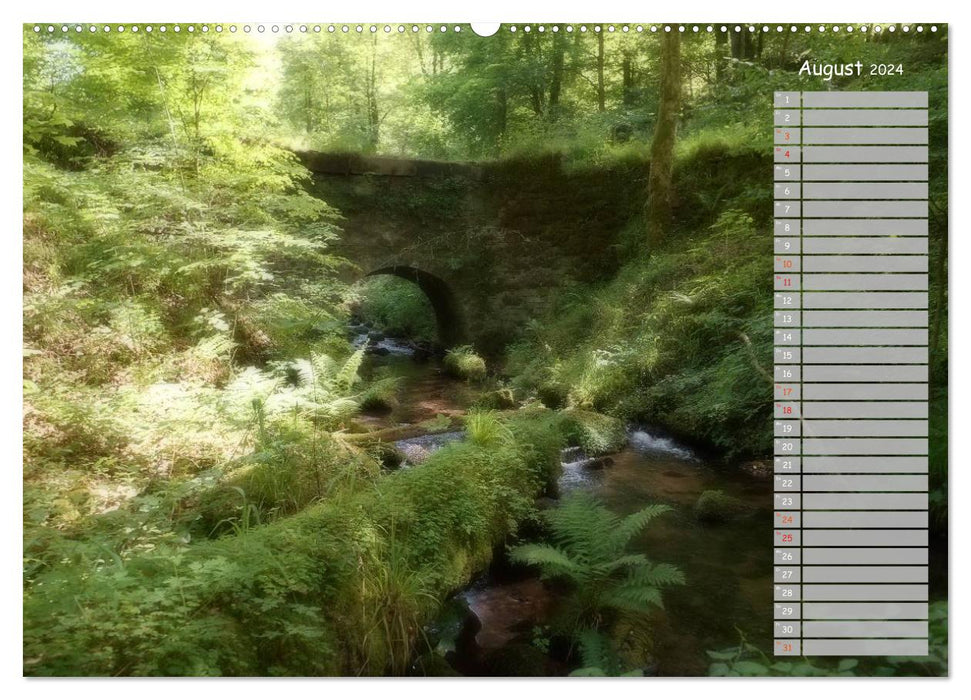 Odenwald - Promenade romantique (Calendrier mural CALVENDO 2024) 