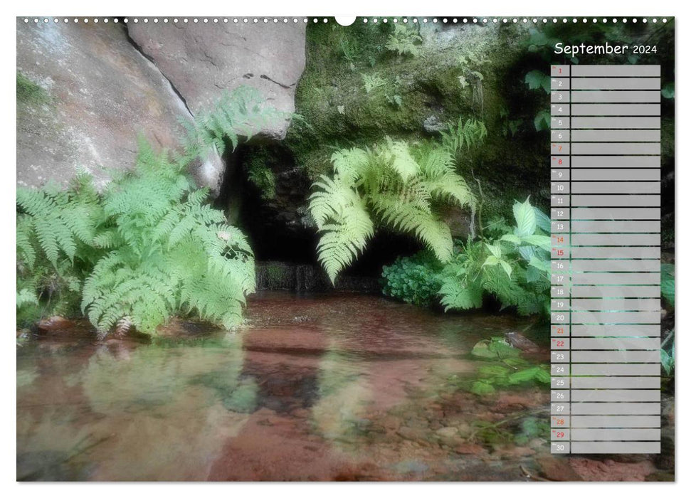 Odenwald - Romantischer Spaziergang (CALVENDO Wandkalender 2024)