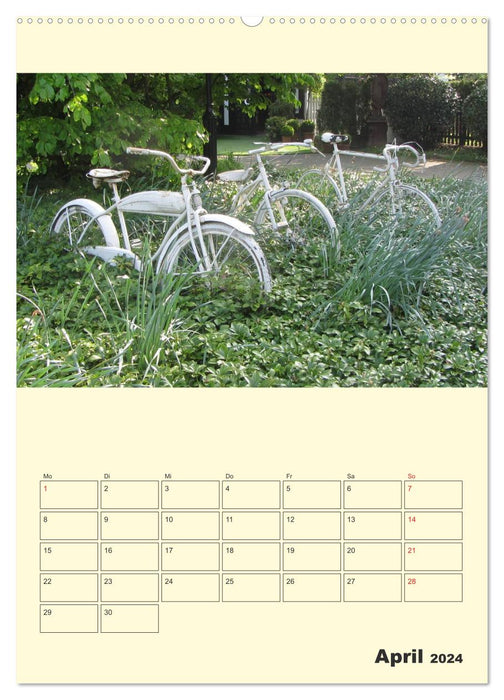 All sorts of bikes / planner (CALVENDO Premium wall calendar 2024) 