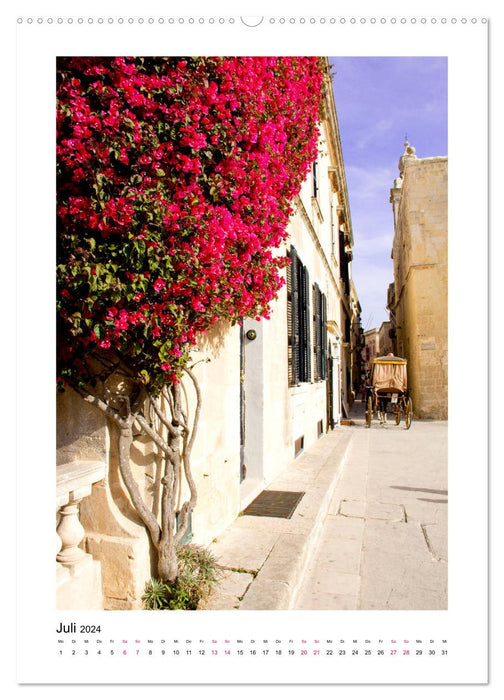 Experience Malta &amp; Gozo (CALVENDO Premium Wall Calendar 2024) 