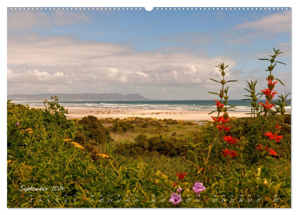 At the Cape of South Africa (CALVENDO Premium Wall Calendar 2024) 