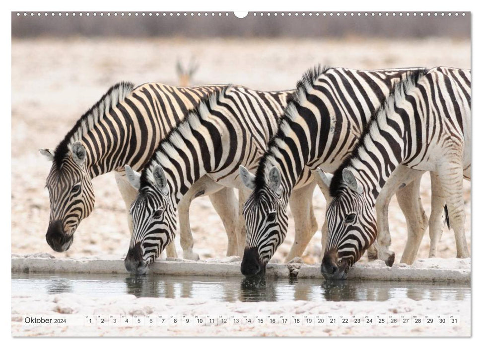 Afrikas Tierwelt Christian Heeb (CALVENDO Premium Wandkalender 2024)