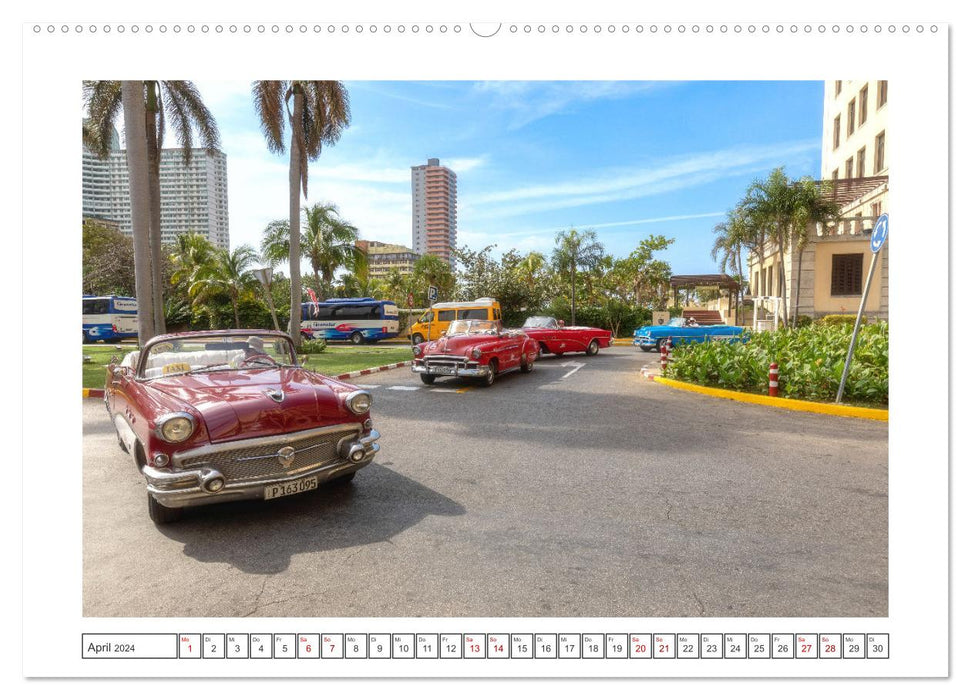 Légendes américaines dans les rues de Cuba (Calendrier mural CALVENDO Premium 2024) 