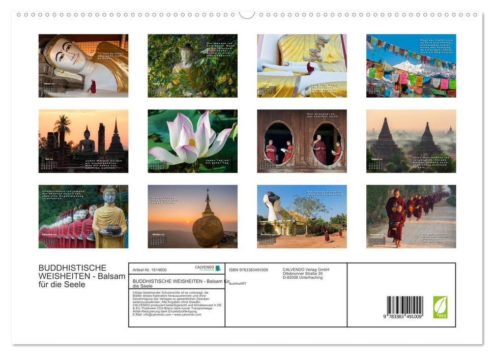 BUDDHA'S WISDOM - Baume pour l'âme (Calvendo Premium Wall Calendar 2024) 