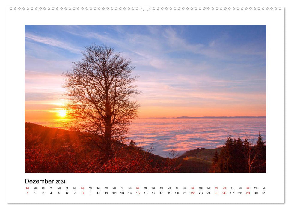 On Schuster's black horse... Southern Upper Rhine and Southern Black Forest (CALVENDO wall calendar 2024) 