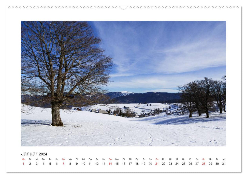On Schuster's black horse... Southern Upper Rhine and Southern Black Forest (CALVENDO wall calendar 2024) 
