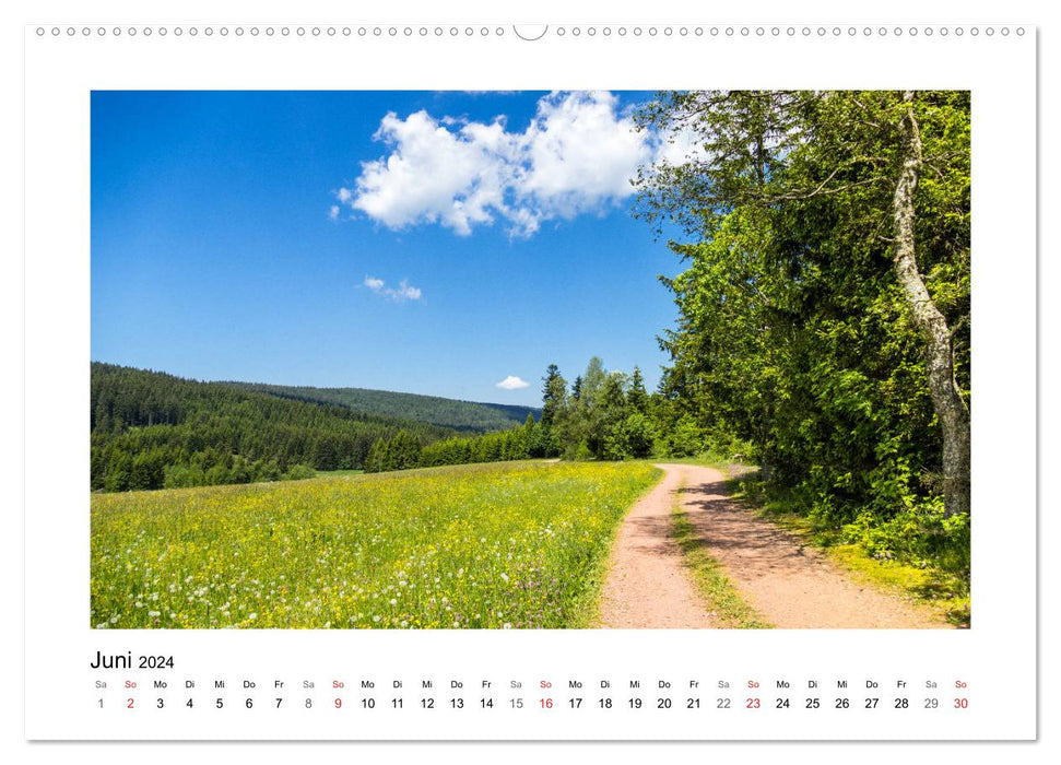 On Schuster's black horse... Southern Upper Rhine and Southern Black Forest (CALVENDO wall calendar 2024) 