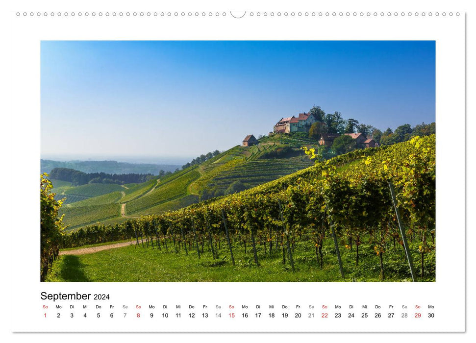 On Schuster's black horse... Southern Upper Rhine and Southern Black Forest (CALVENDO wall calendar 2024) 